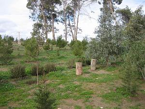 LE TELAGH Le Bosquet  05